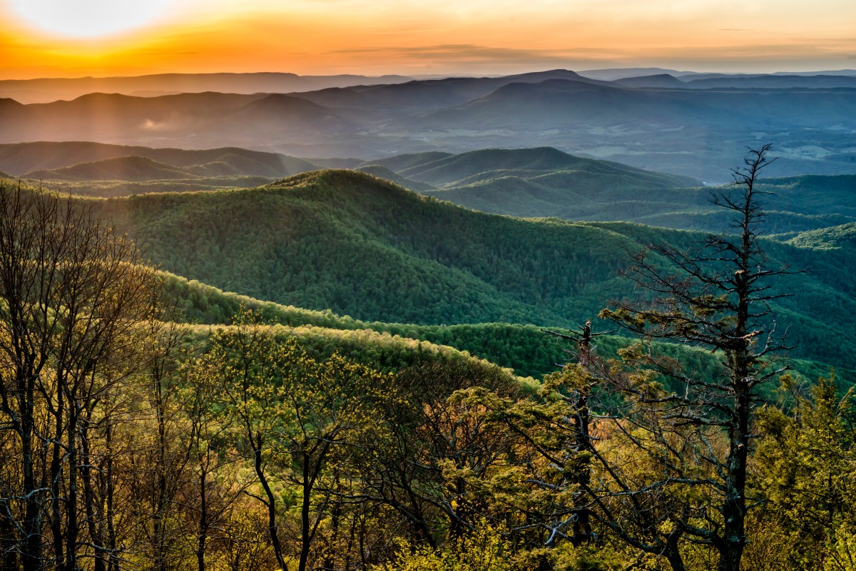 Donate | Blue Ridge Parkway Foundation